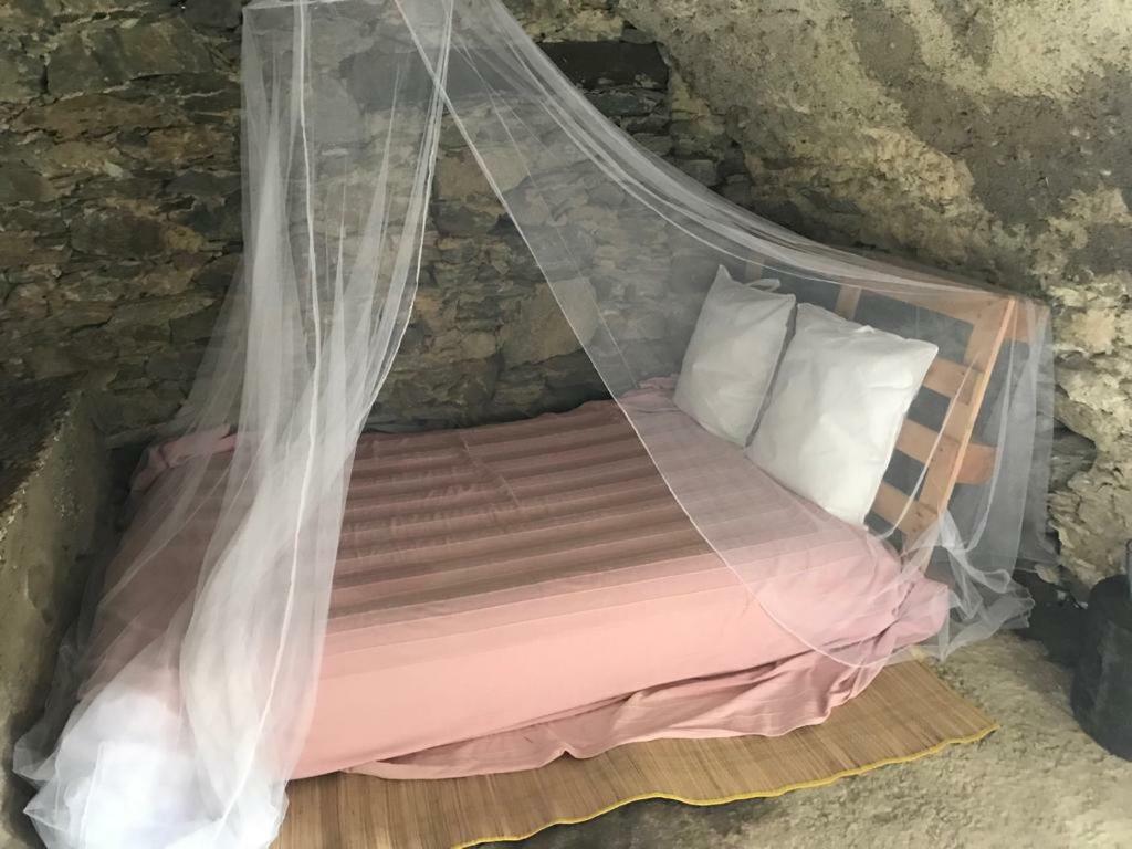 ,A Cantinella, Une Cave A Fromage Au Centre Corse Santa-Lucia-di-Mercurio Exterior photo