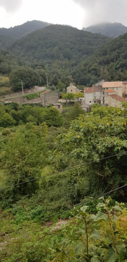 ,A Cantinella, Une Cave A Fromage Au Centre Corse Santa-Lucia-di-Mercurio Exterior photo